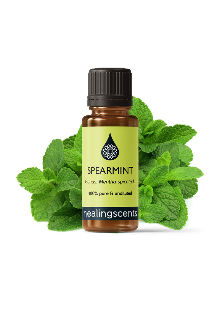 Spearmint Organic Essential Oil Essential Oils Healingscents   