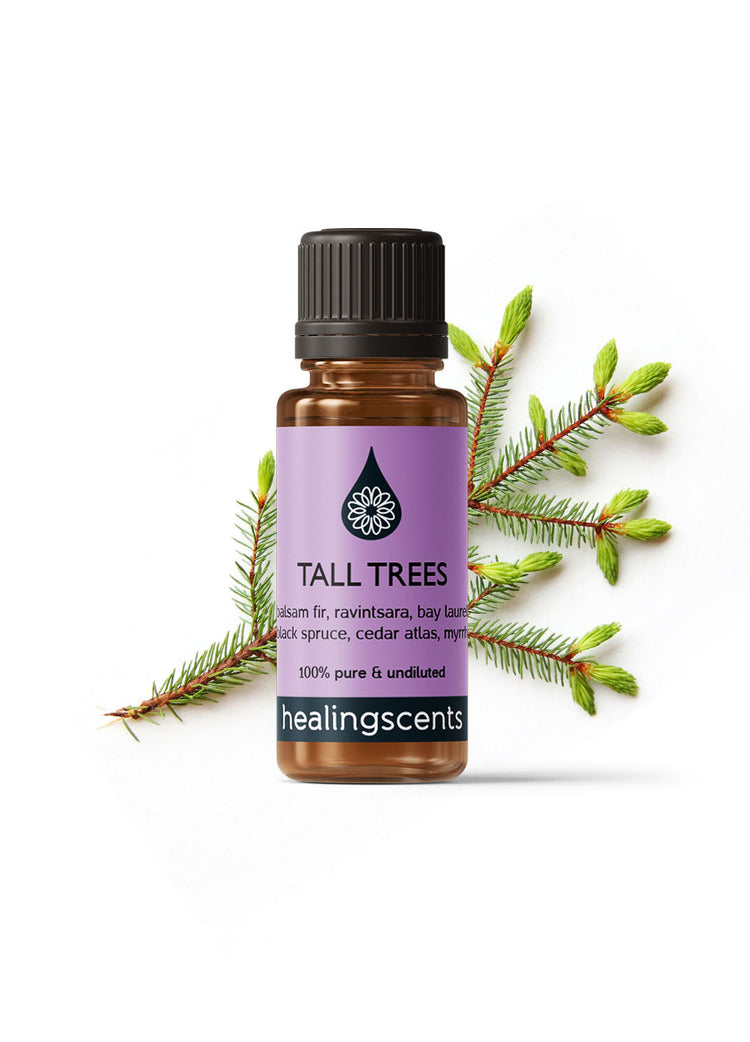 Tall Trees Synergy Blend Diffuser Blends Healingscents
