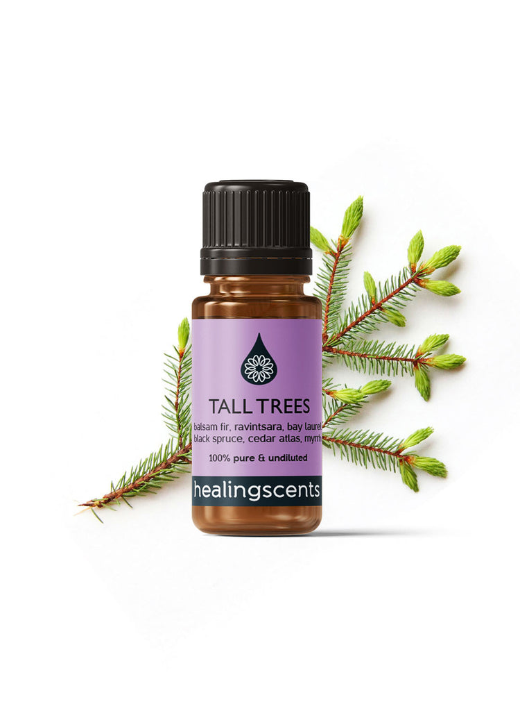 Tall Trees Synergy Blend Diffuser Blends Healingscents