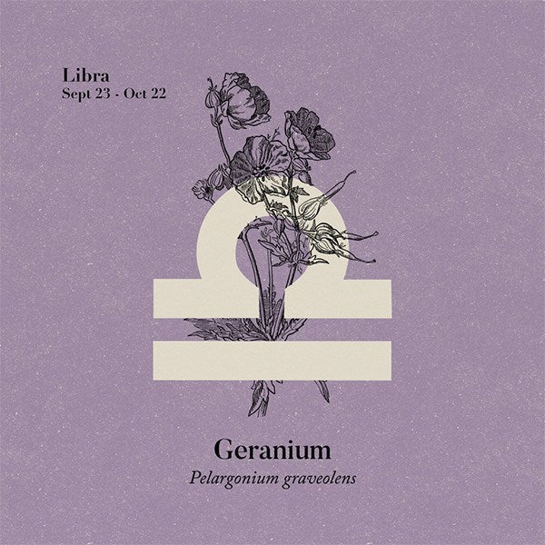 Geranium Essential Oil Certified Organic (Rose Geranium) Essential Oils Healingscents