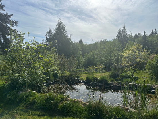 Astro-Apothecary Forecast — May 17–23