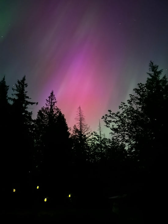 Astro-Apothecary Forecast | October 11–17, 2026