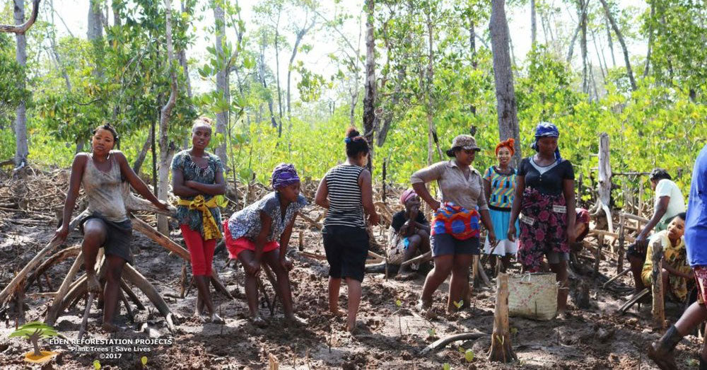 Celebrating one year with Eden Reforestation Projects