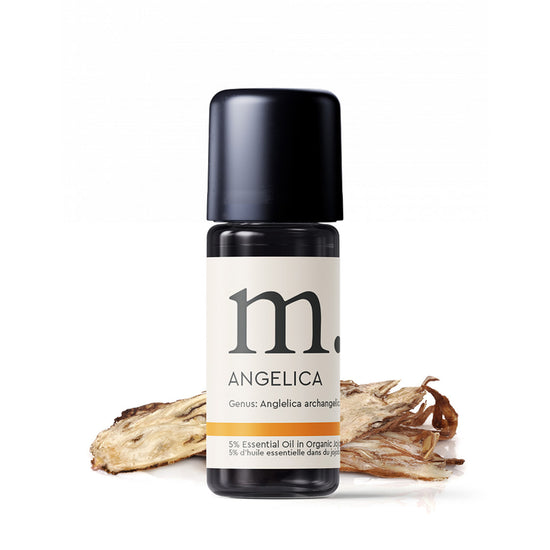 Angelica Root Essential Oil