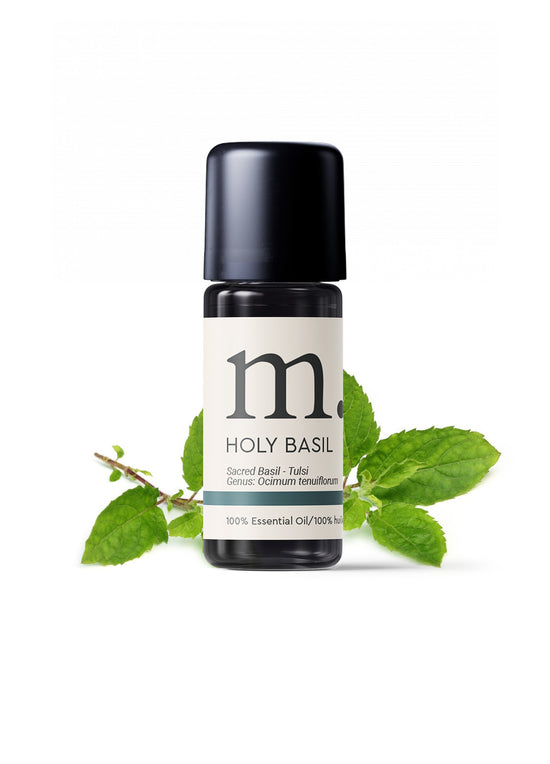 Basil Holy Essential Oil Essential Oils Healingscents