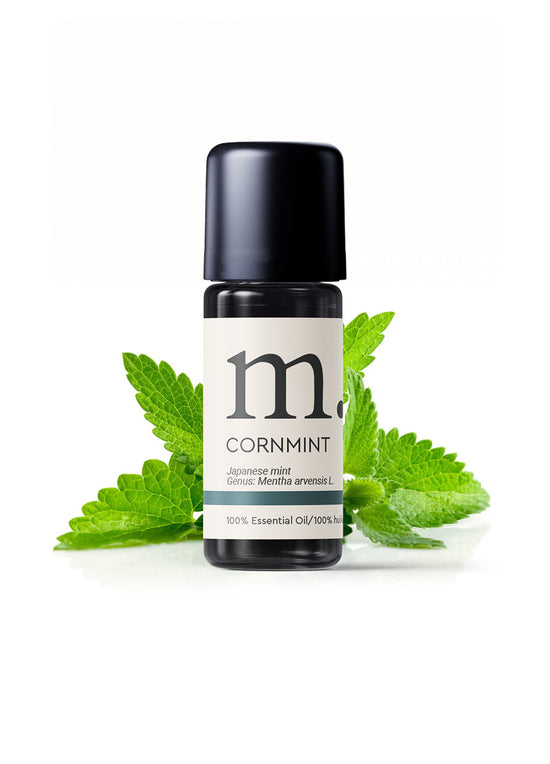 Japanese Peppermint Cornmint Essential Oil