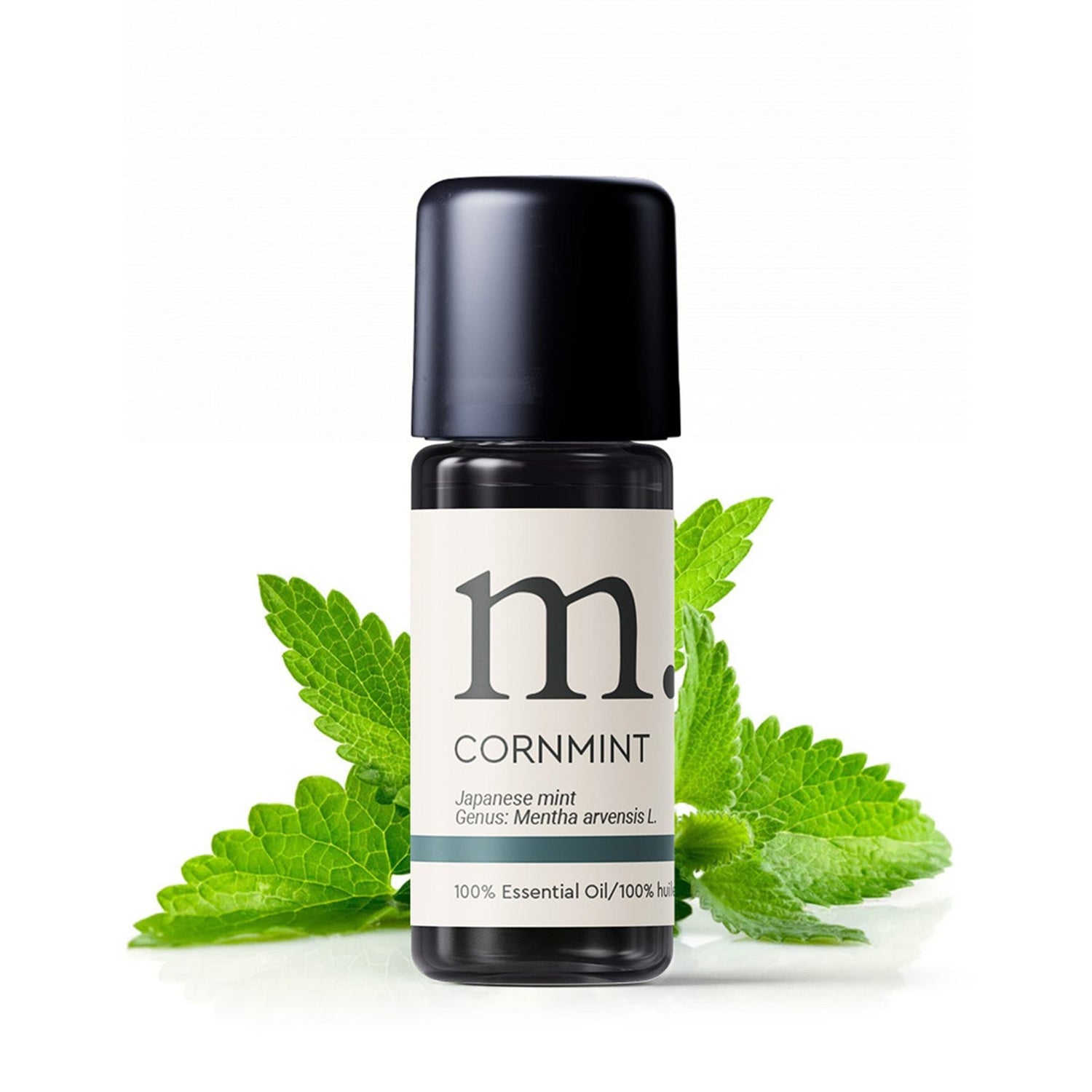 Japanese Peppermint (Cornmint) Essential Oil Essential Oils Healingscents