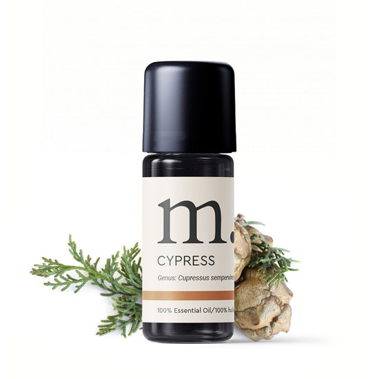 Cypress Organic Essential Oil Essential Oils Healingscents