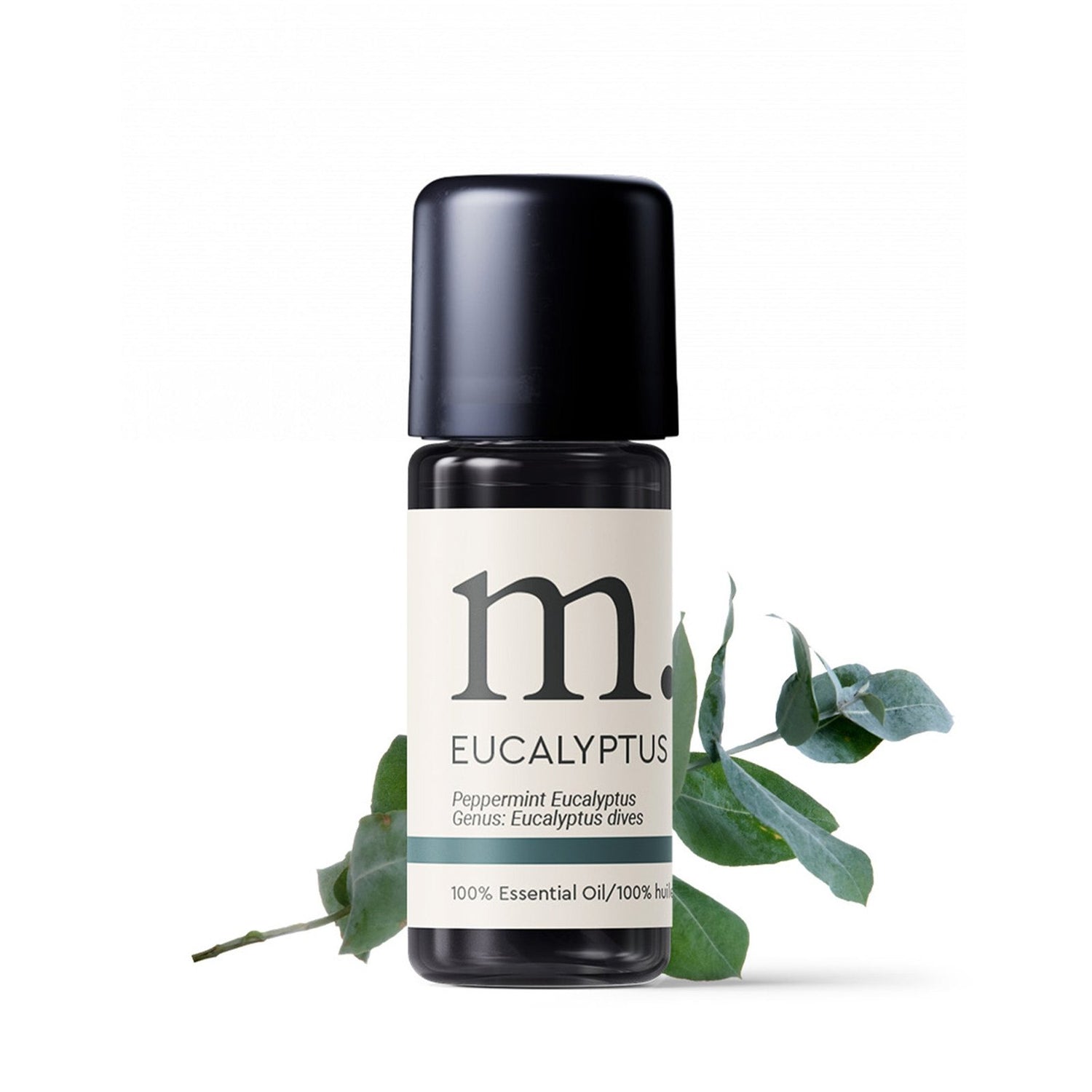 Eucalyptus Dives Certified Organic Essential Oil Essential Oils Healingscents