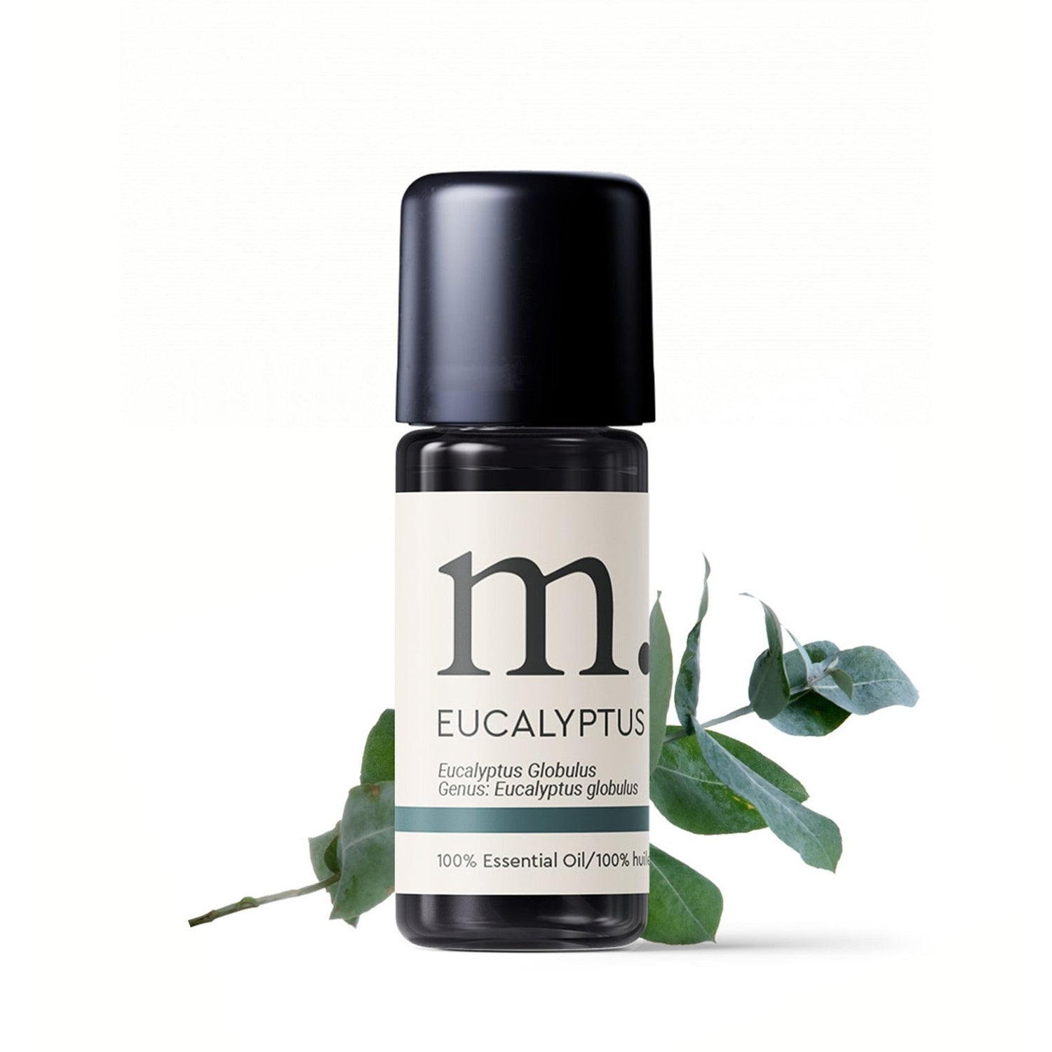 Eucalyptus Globulus Certified Organic Essential Oil Essential Oils Healingscents
