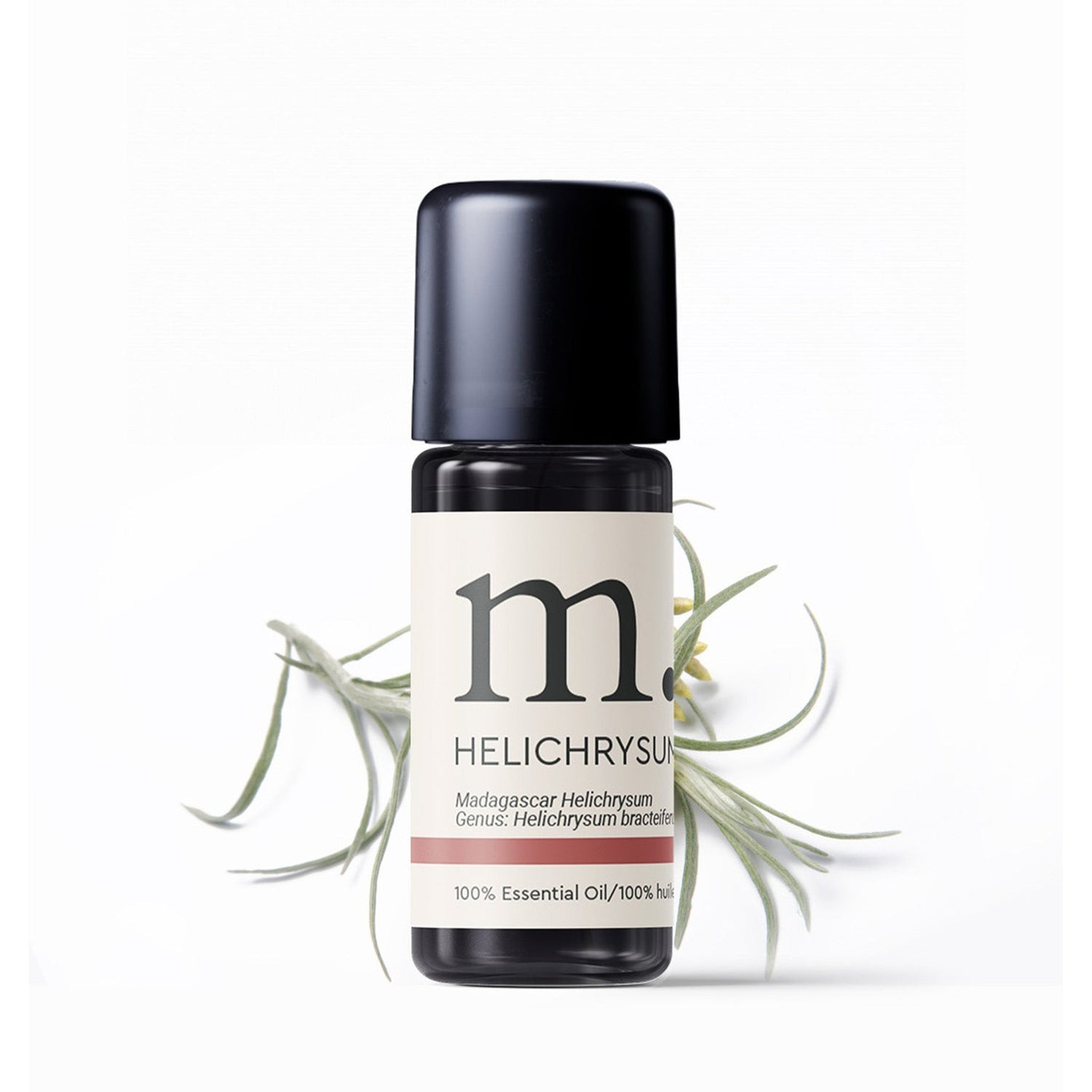 Helichrysum Bratieferum Essential Oil Essential Oils Healingscents