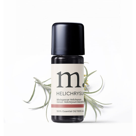 Helichrysum Bratieferum Essential Oil Essential Oils Healingscents