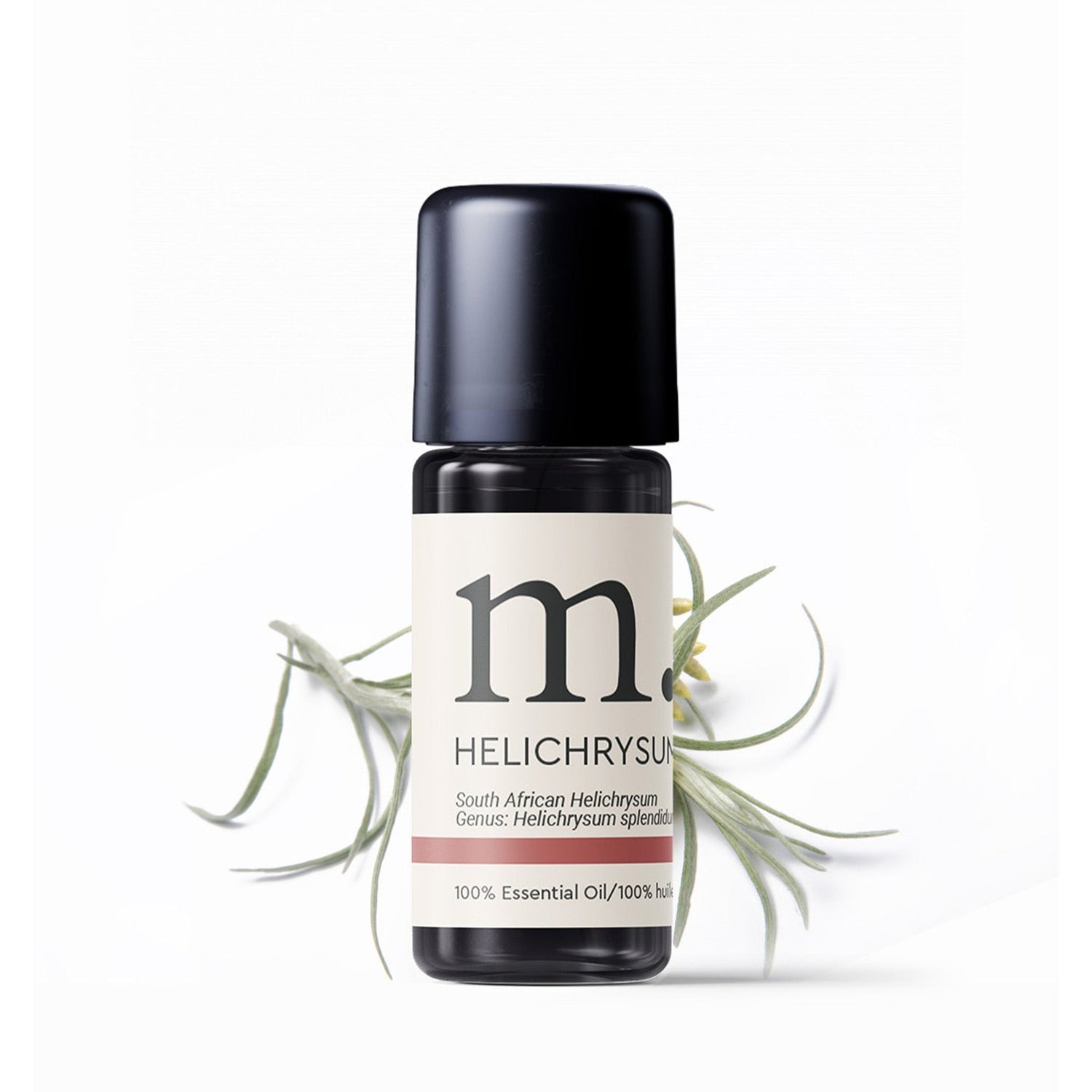 Helichrysum Splendidum Essential Oil Essential Oils Healingscents
