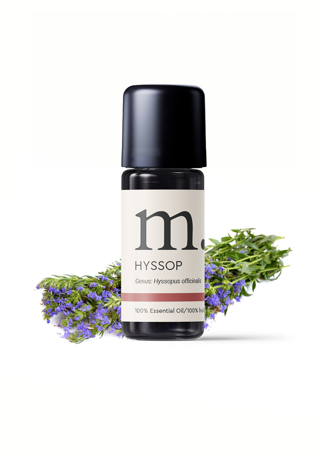 Hyssop Essential Oil
