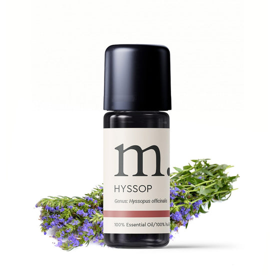 Hyssop Essential Oil Essential Oils Healingscents