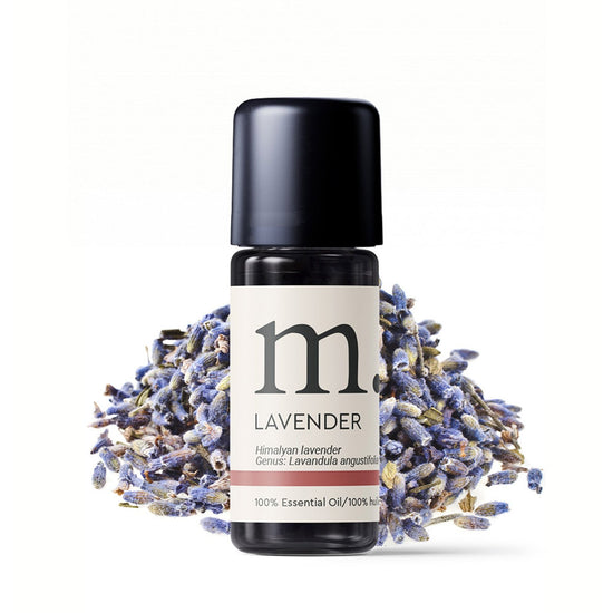 Lavender Himalayan High Alpine Essential Oil Essential Oils Healingscents