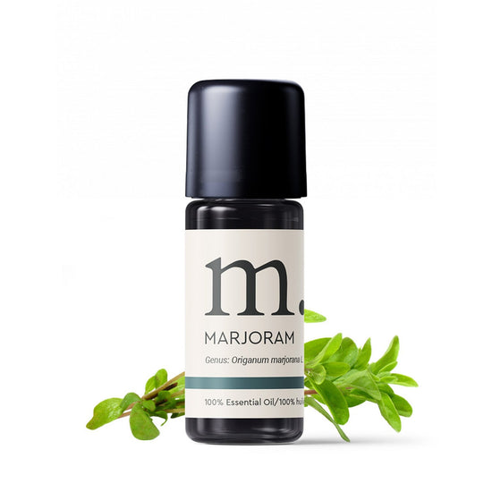 Marjoram Sweet Essential Oil Essential Oils Healingscents