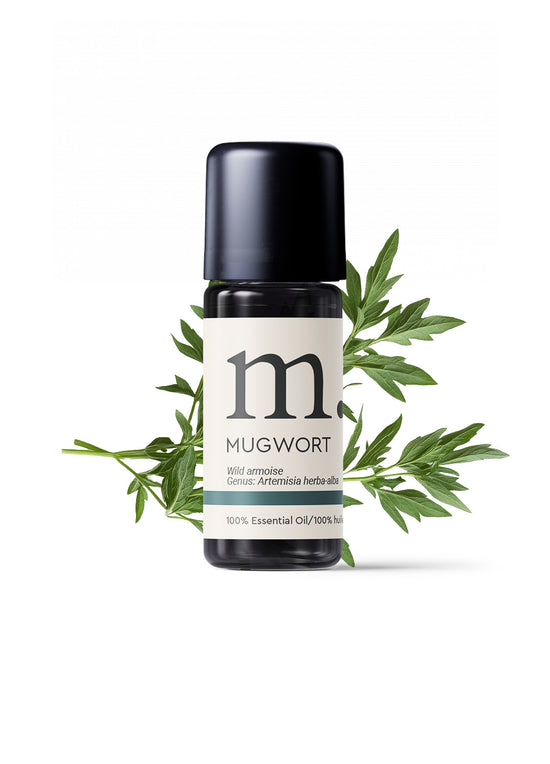 Mugwort (Armoise) Wild Harvest Essential Oil