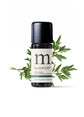 Mugwort (Armoise) Wild Harvest Essential Oil