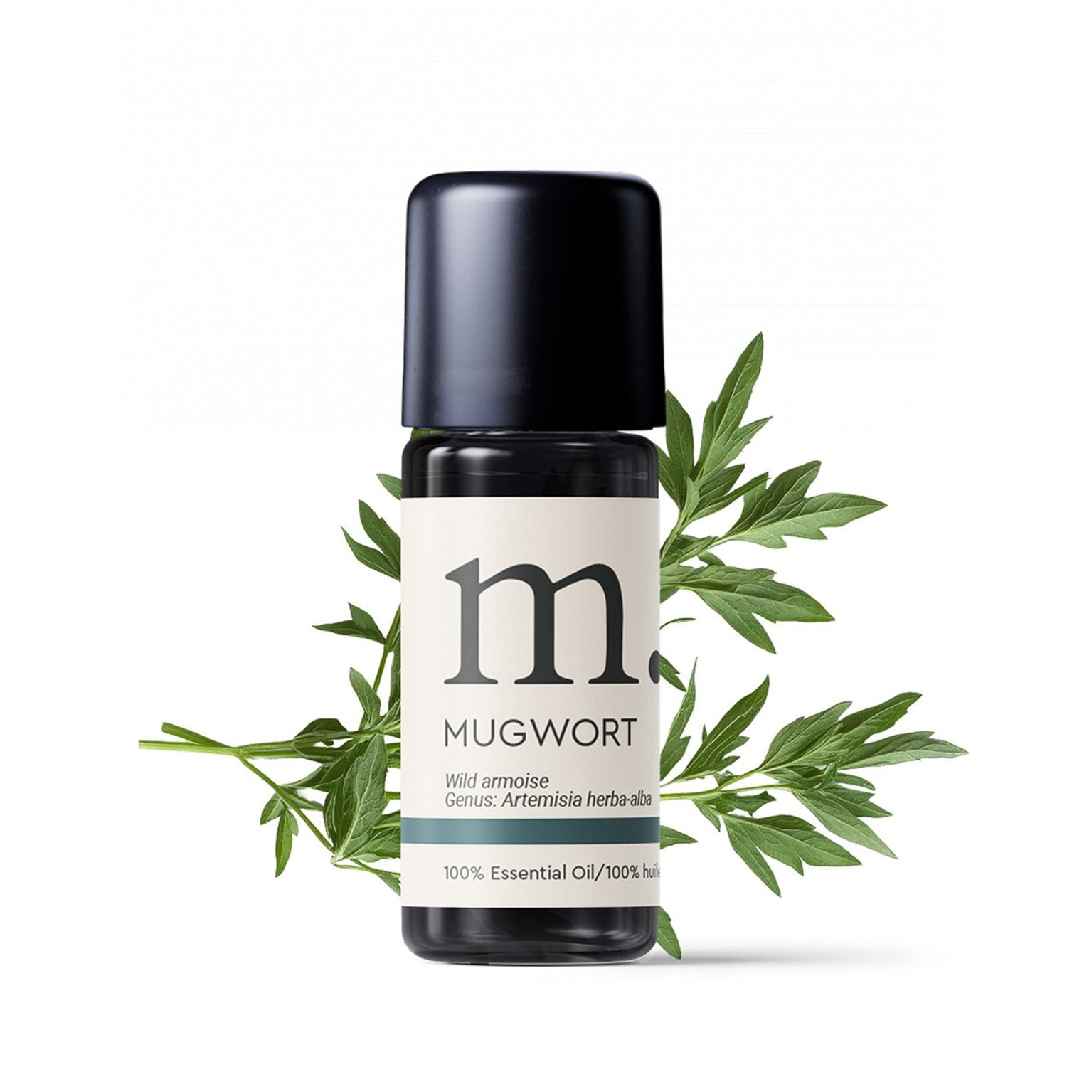 Mugwort (Armoise) Wild Harvest Essential Oil Essential Oils Healingscents