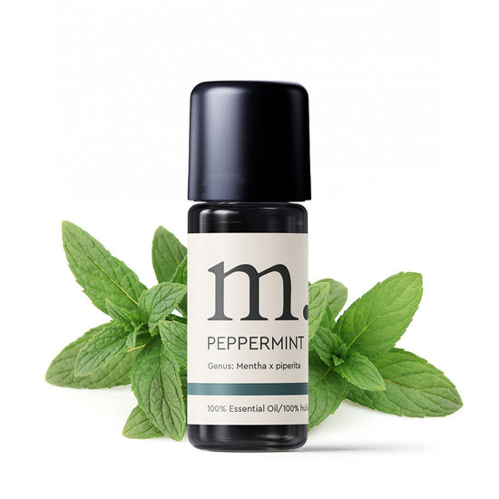 Peppermint Certified Organic Essential Oil Essential Oils Healingscents
