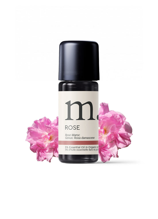 Rose Absolute (Morocco)