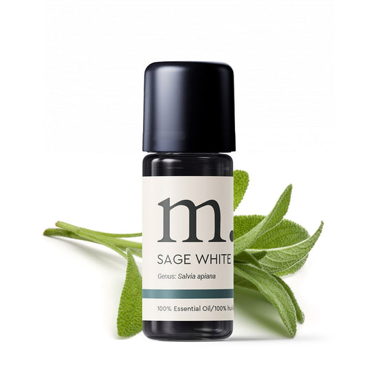 White Sage Ethically Farmed Organic Essential Oil Essential Oils Healingscents