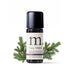 Tall Trees Synergy Blend Diffuser Blend Healingscents