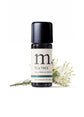 Tea Tree Essential Oil
