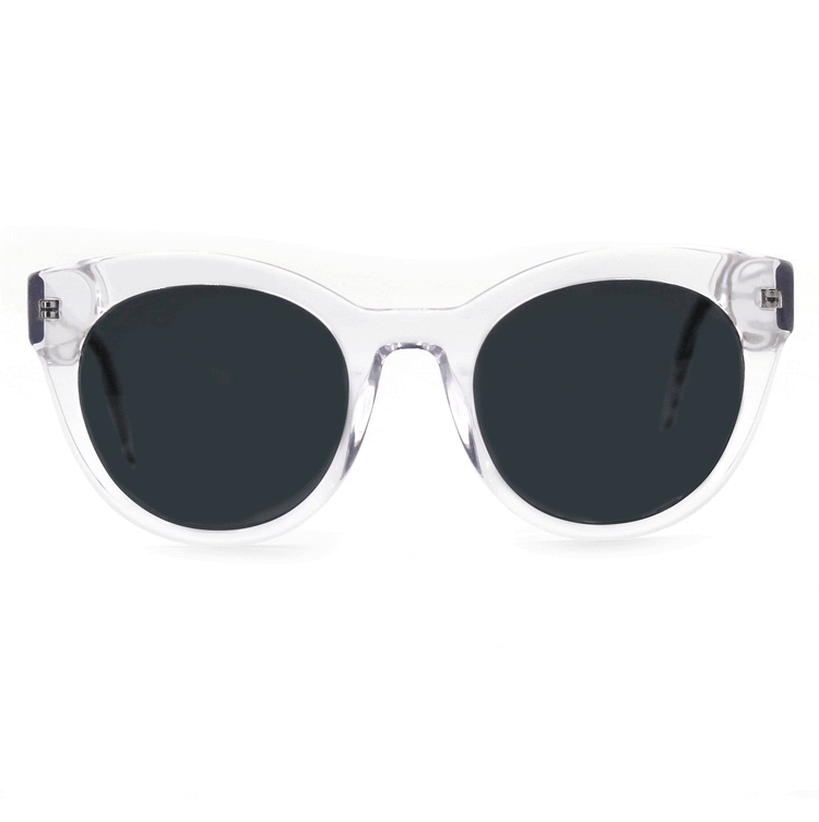 Shades X - Polarized Sunglasses | Model 31064 Sunglasses Ottika Group Ltd