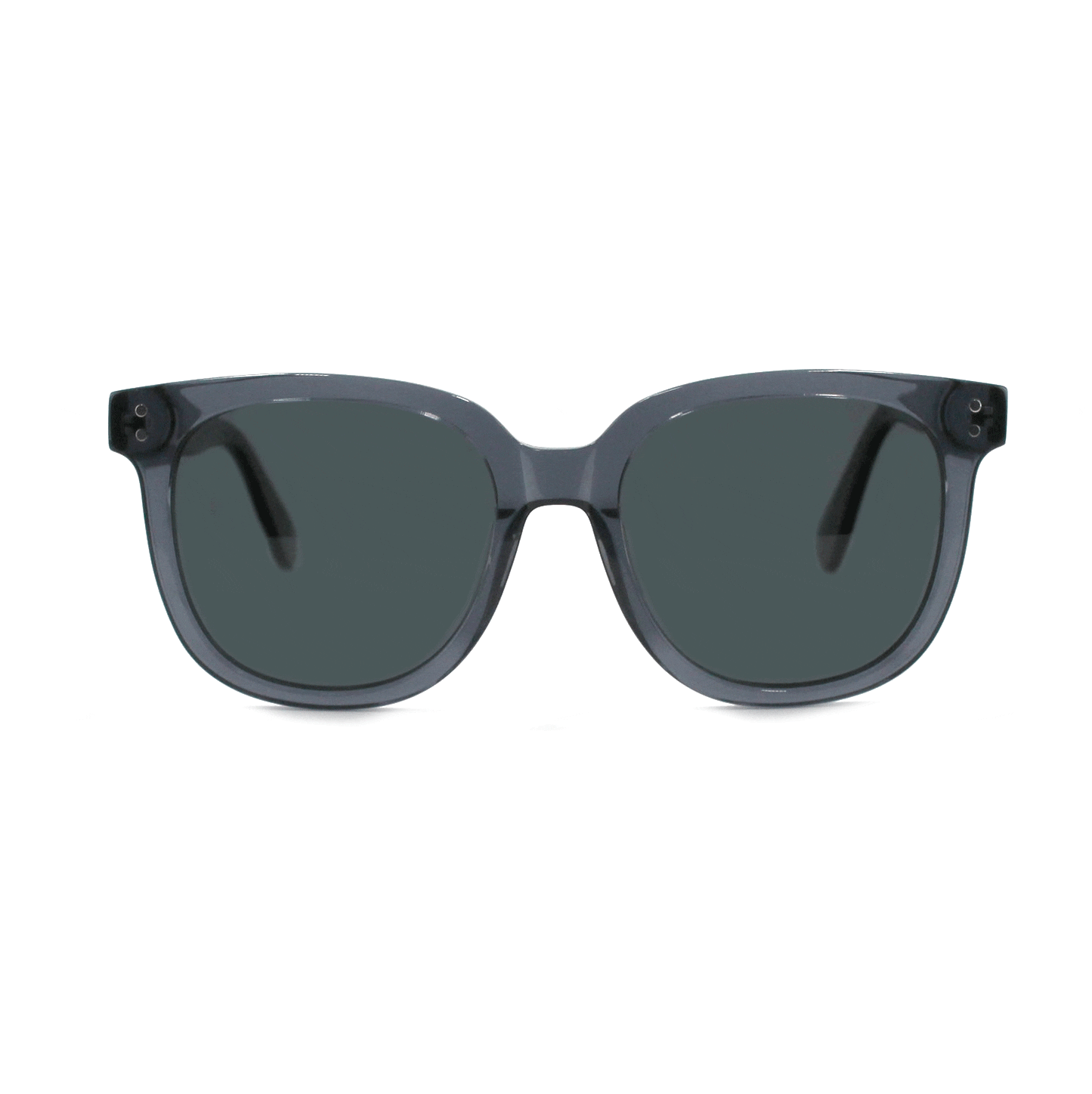 Shades X - Polarized Sunglasses | Model 29005 Sunglasses Ottika Group Ltd