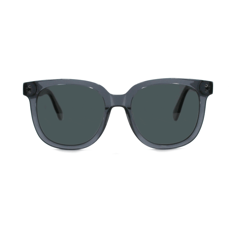 Shades X - Polarized Sunglasses | Model 29005 Sunglasses Ottika Group Ltd