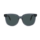 Shades X - Polarized Sunglasses | Model 29005 Sunglasses Ottika Group Ltd