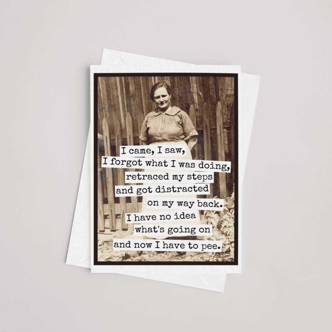 Funny Greeting Card. I Came, I Saw, I Forgot What I Was Doin Greeting Cards Raven&