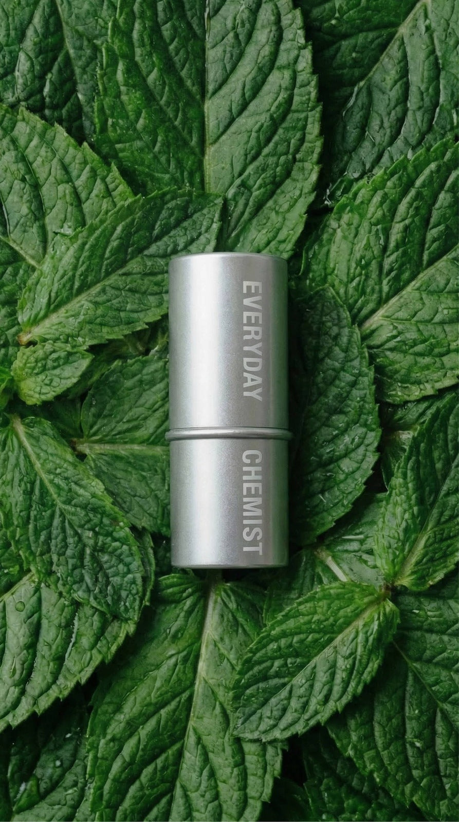 Everyday Chemist Lip Grease Stick - Fresca (Peppermint) Everyday Chemist