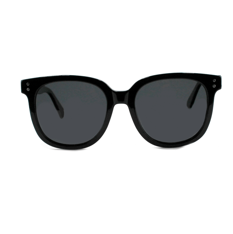 Shades X - Polarized Sunglasses | Model 29005 Sunglasses Ottika Group Ltd