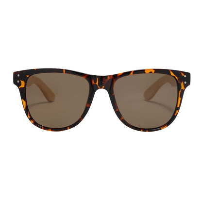 Kuma Polarized Sunglasses Berlin Sunglasses Kuma Sunglasses Tortoise  