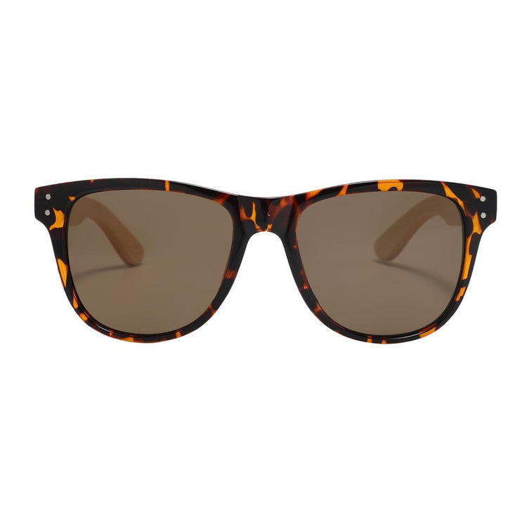 Kuma Polarized Sunglasses Berlin Sunglasses Kuma Sunglasses Tortoise  