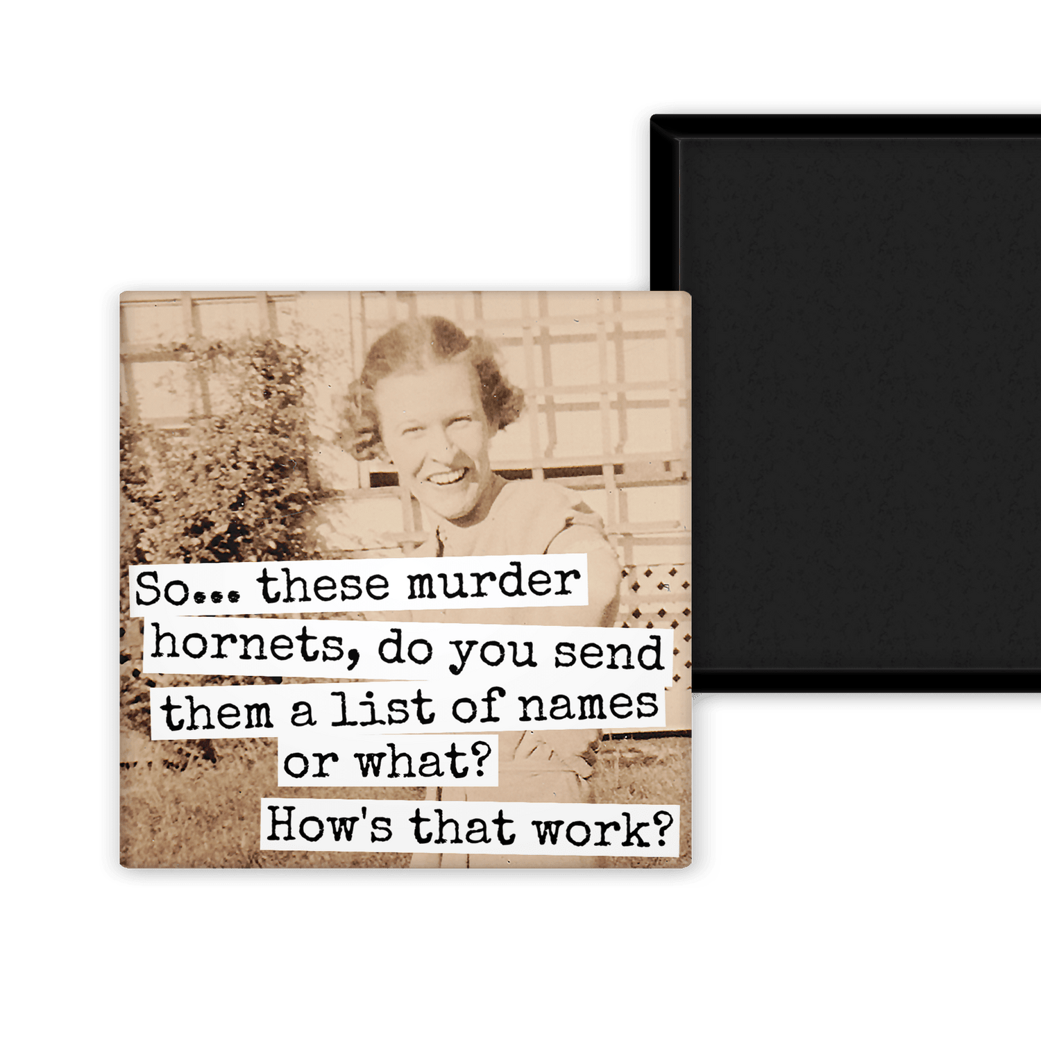 Magnet. So... These Murder Hornets, Do You Send Them A List Magnets Raven&