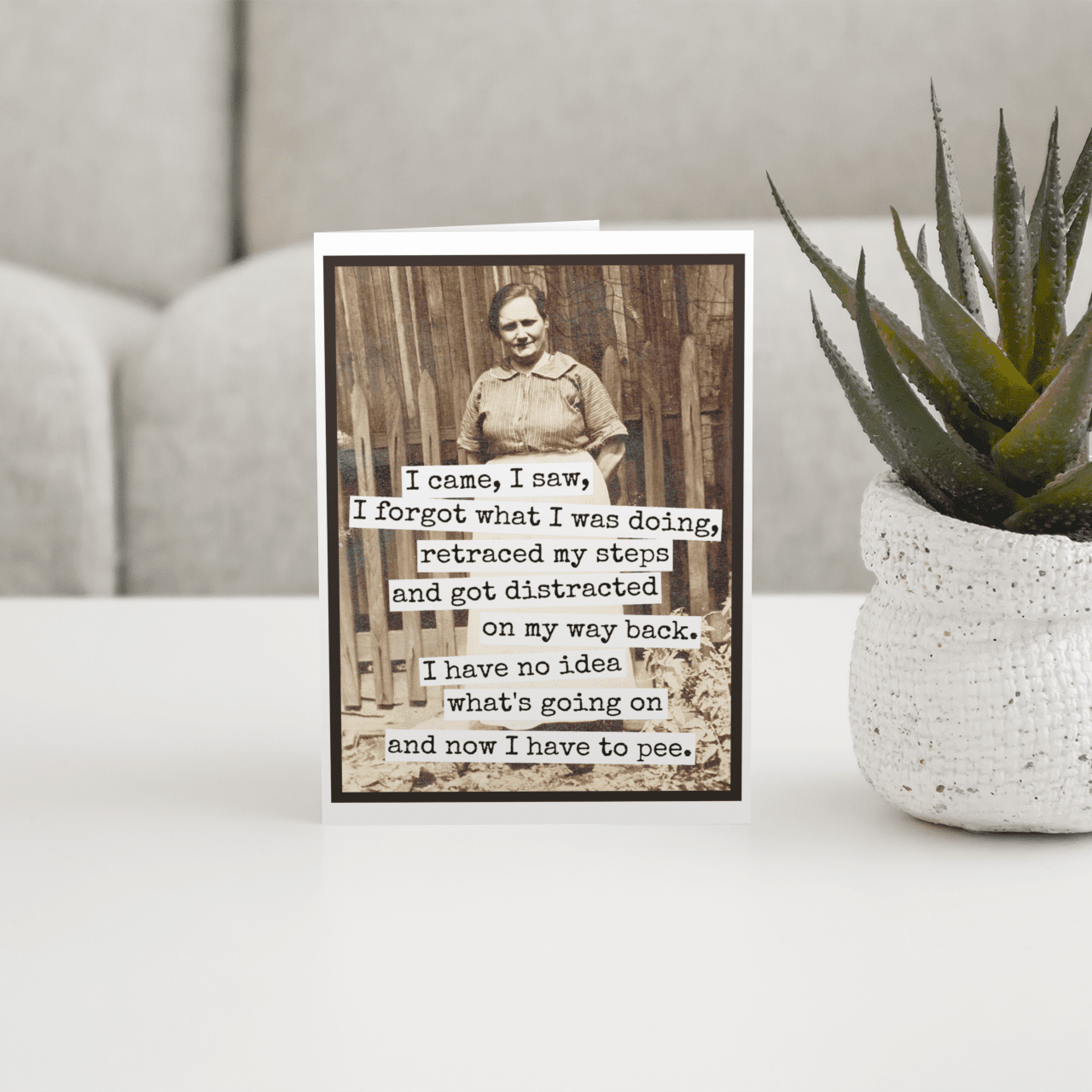 Funny Greeting Card. I Came, I Saw, I Forgot What I Was Doin Greeting Cards Raven&