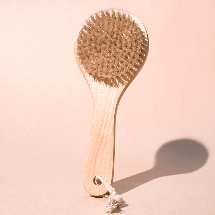 Dry Body Brush Midnight Paloma