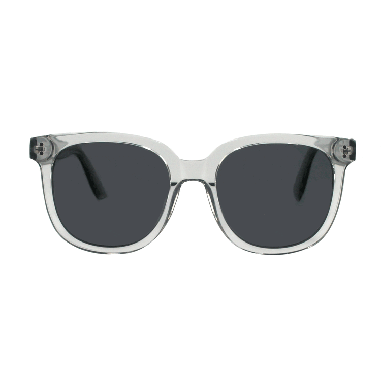 Shades X - Polarized Sunglasses | Model 29005 Sunglasses Ottika Group Ltd