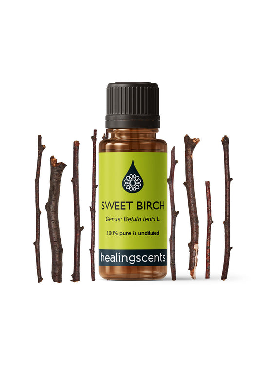 Birch Sweet Essential Oil Essential Oils Healingscents