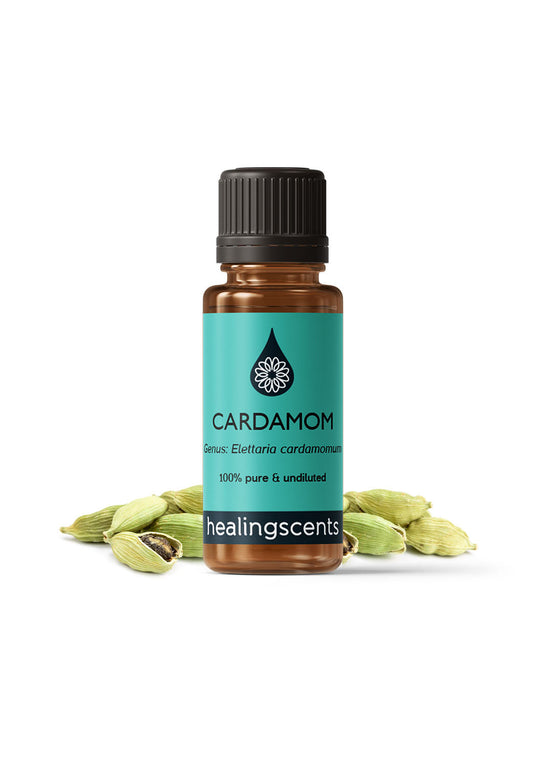 Cardamom Essential Oil Essential Oils Healingscents