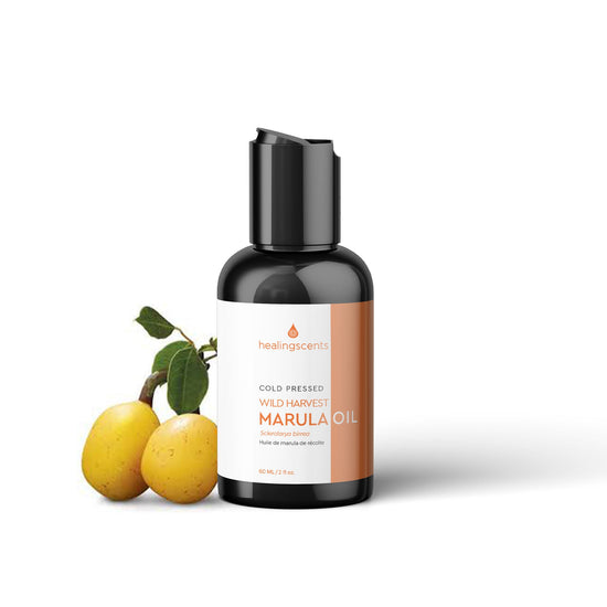 Marula Oil Wild Harvest Carrier Oils Healingscents