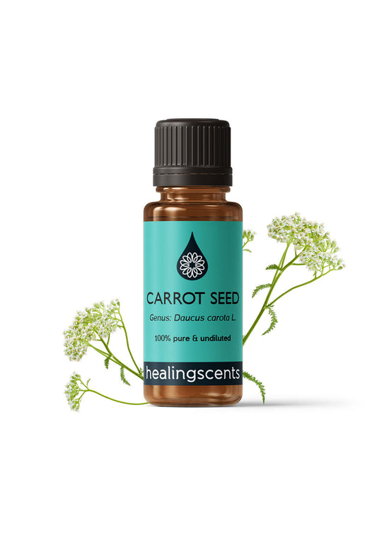 Carrot Seed Organic Essential Oil Essential Oils Healingscents