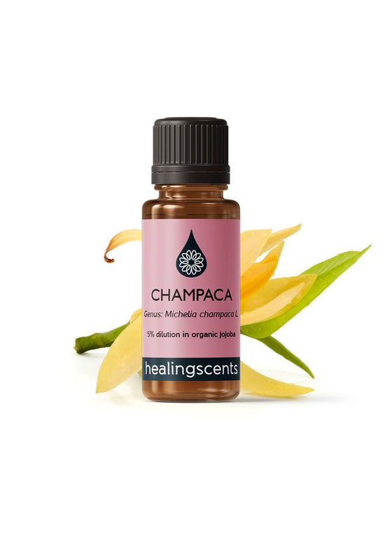 Champaka Absolute Absolutes Healingscents   