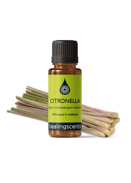 Citronella Certified Organic Essential Oil Essential Oils Healingscents   