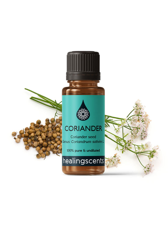 Coriander Organic Essential Oil Essential Oils Healingscents   