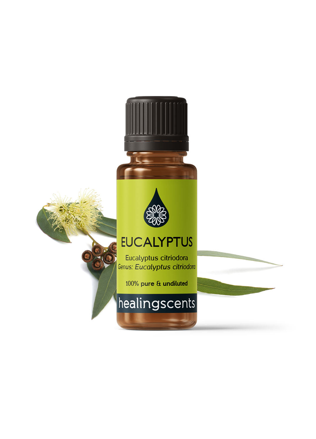 Eucalyptus Citriodora Organic Essential Oil Essential Oils Healingscents   
